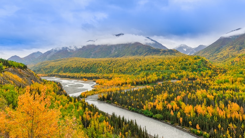 Alaska river landscape
